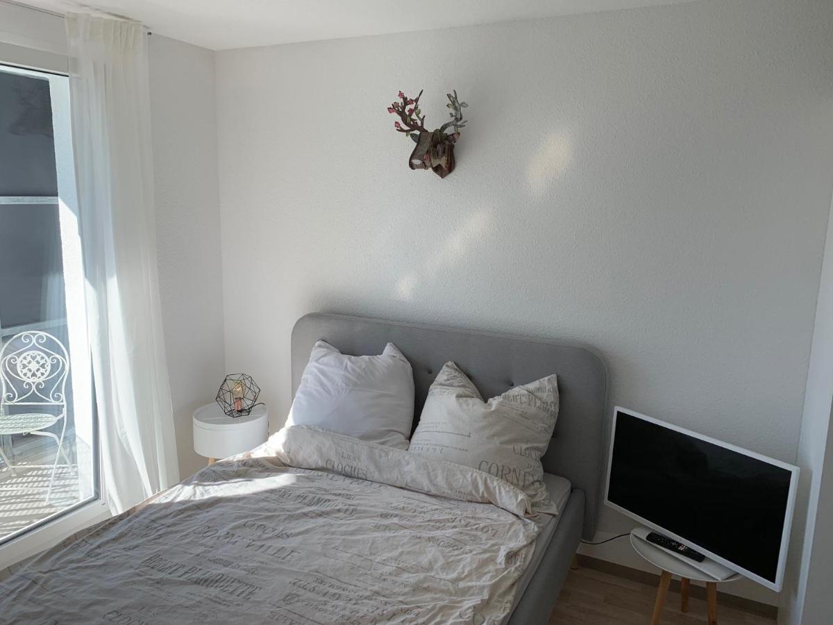 1-zi. Apartment, Echterdingen Bei Flughafen/messe Stgt.